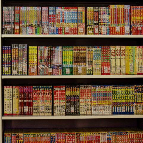 Manga Bookshelf