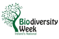 Get ready for Biodiversity Week (15 – 24 May) with dlr LexIcon