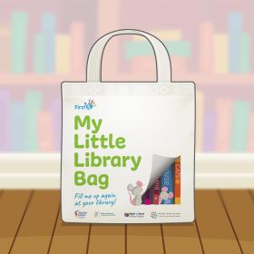 Little Library Bag