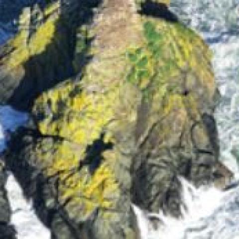 climate_change_and_coastal_heritage