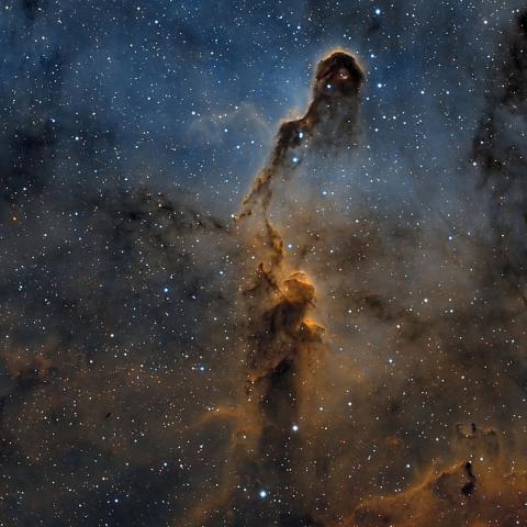 elephant_trunk_nebula