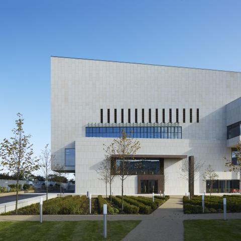 lexicon