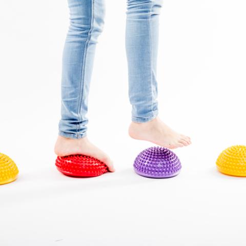 shutterstock_1312981544