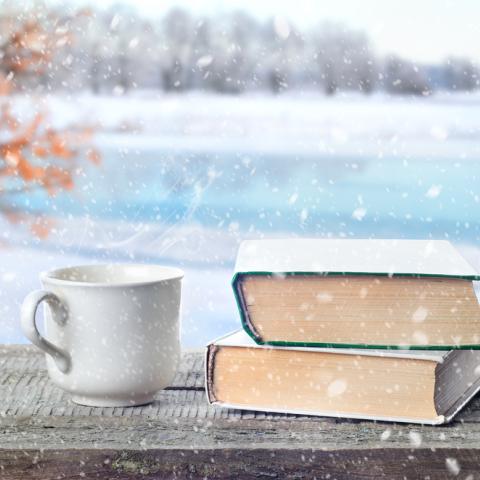 snow_book