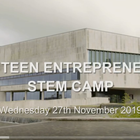 stem