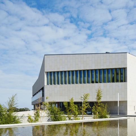 sunday_reopening_lexicon_landscape_final