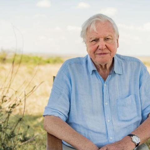 David Attenborough-