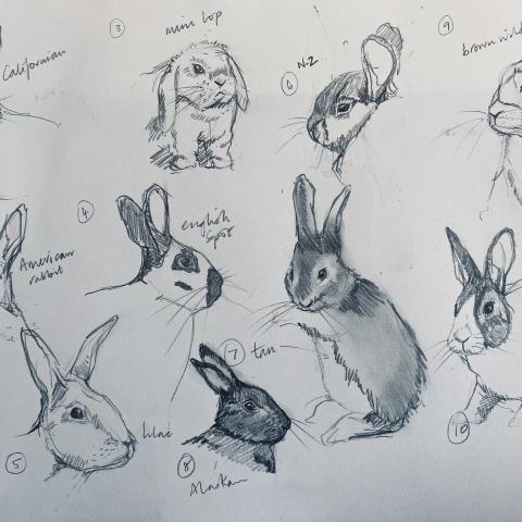 GE_Sketching2 - checked