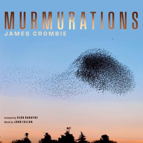 GE Murmurations - checked