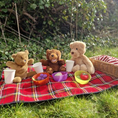 GE Teddy Bears Picnic - checked (1)