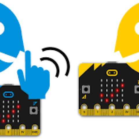 Microbit - checked