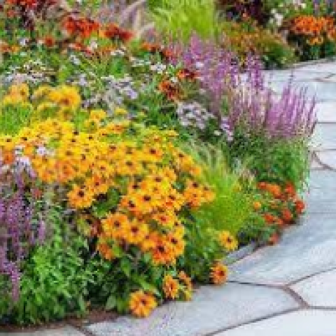 GP_garden design