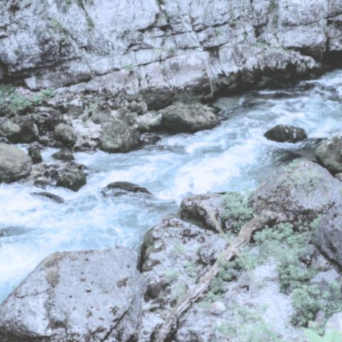 Club Leabhar Filíochta in dlr LexIcon