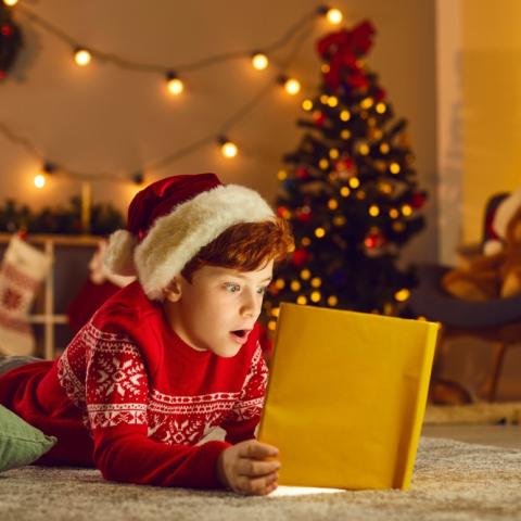 Christmas Storytime at Deansgrange Library 