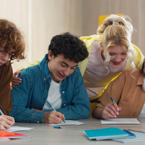 Study Skills for Senior Cycle Students in dlr LexIcon