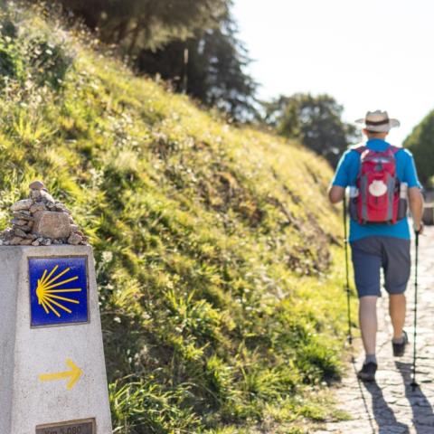 Preparing for Your Camino Journey with Andrea Ryan in Deansgrange Library 