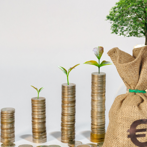 Financial Wellbeing Seminar in dlr LexIcon