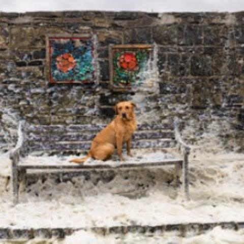 AIB Press Photographer of the Year 2026