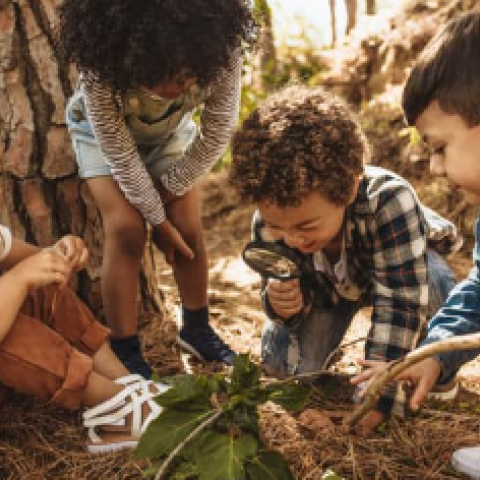 Nature Journaling for Children with Joyce Fitzpatrick 