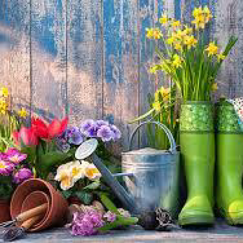 Summer Plant Care Workshop with Marie Hirst  