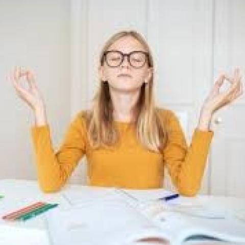 Mindfulness for Leaving Cert students with Sarajane