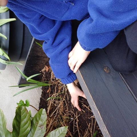 Nature art and planting workshop in dlr LexIcon