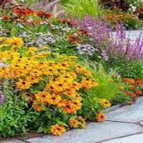 GP_gardening -checked