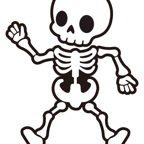 GQ Skeleton - checked