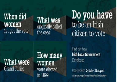 History%20of%20Irish%20local%20government%20website