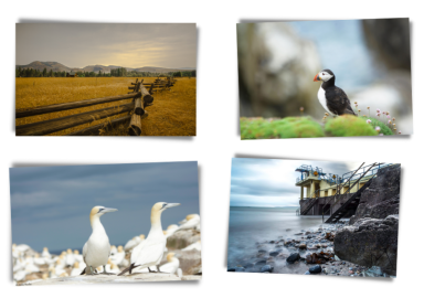 National Rehabilitation Hospital (NRH) Photographic Exhibition in Deansgrange Library 