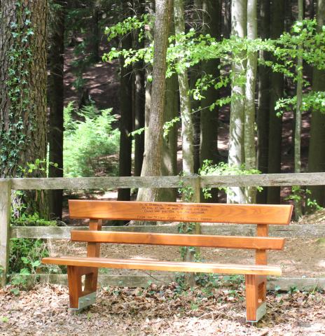 Seamus Heaney Bench