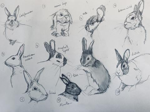 GE_Sketching2 - checked