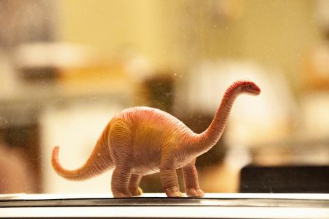 Dinosaur Cabinteely - checked