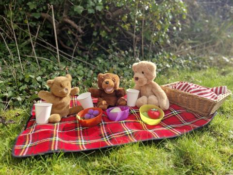 GE Teddy Bears Picnic - checked (1)