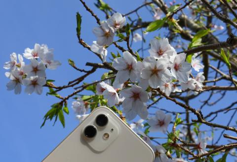 GP_Smartphone - checked