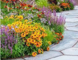 GP_garden design