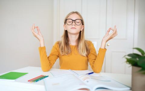 Exam Calm for Students: Mindfulness with SaraJane McCarthy in dlr Lexicon 