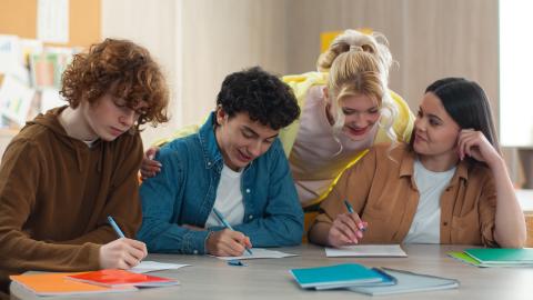 Study Skills for Senior Cycle Students in dlr LexIcon