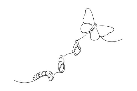 Dalkey Library Sketching Group 