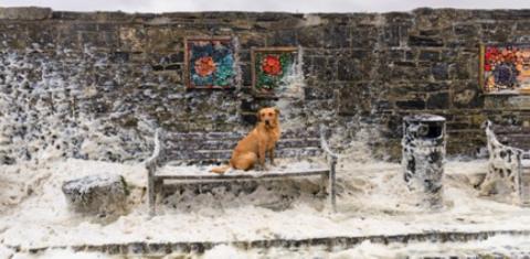 AIB Press Photographer of the Year 2026