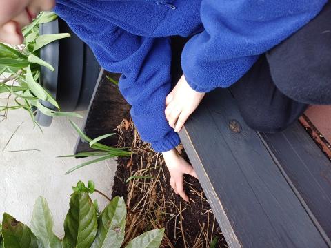 Nature art and planting workshop in dlr LexIcon