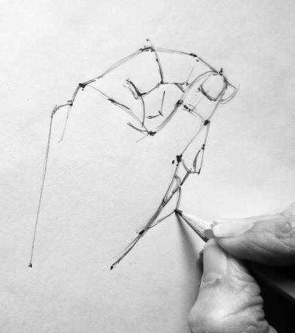 image%20for%20drawing%20class%20for%20DL%20library