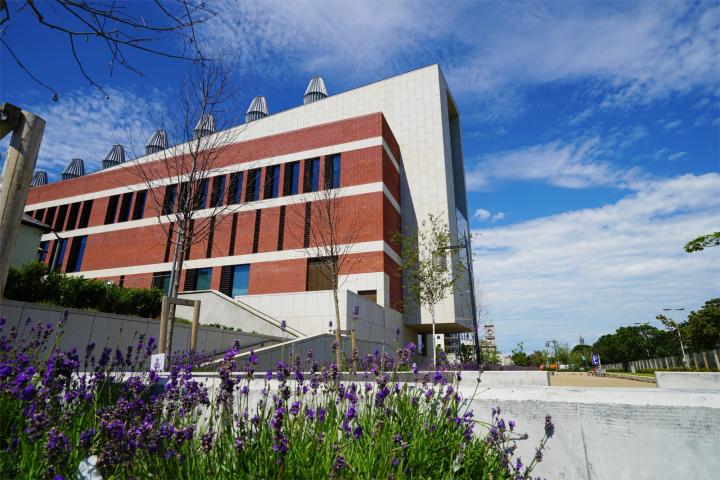 External Shot of Library Building Showing Meetings Rooms