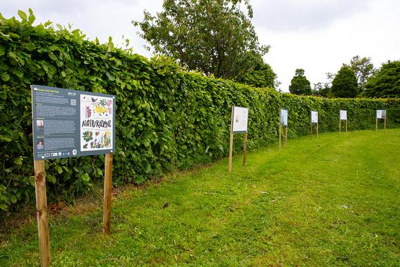 29c_25d_6216551_847251383_3