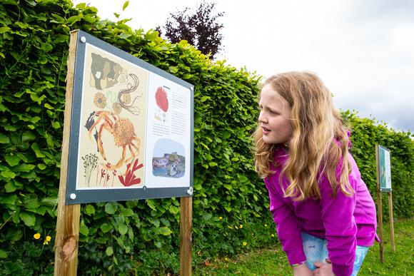 35a_66_6216551_823175534_3