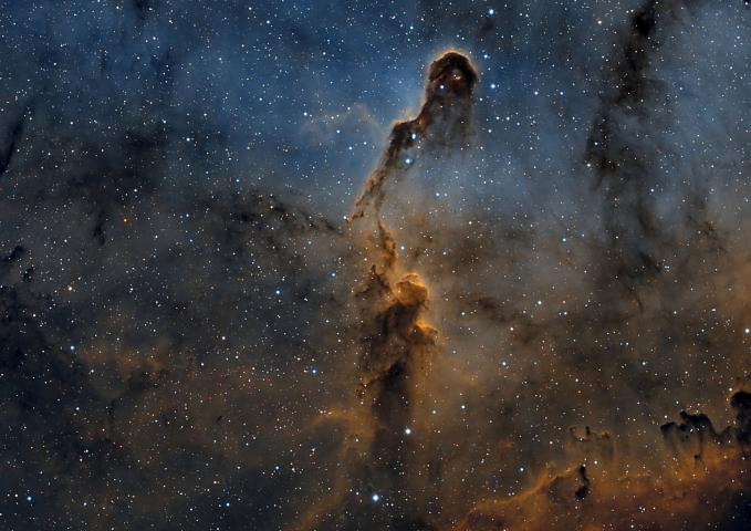 elephant_trunk_nebula
