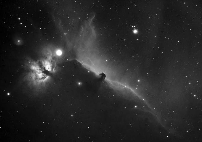 horsehead_print_67