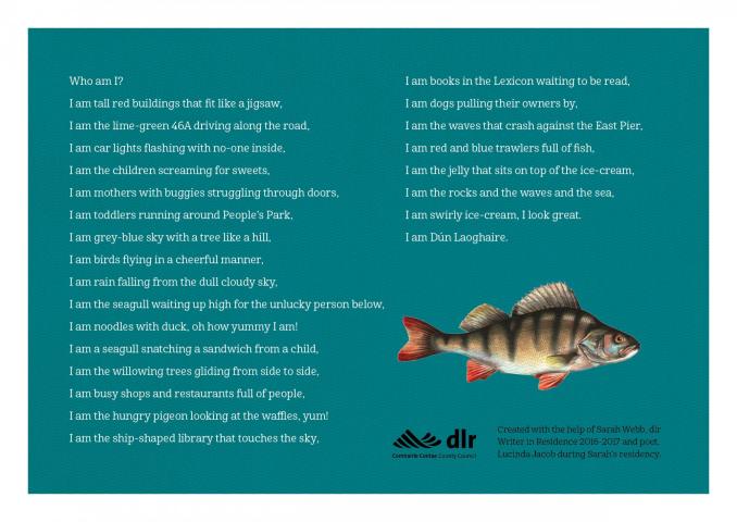 i_am_dun_laoghaire_flier_back