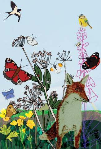 naturama-summer-cover