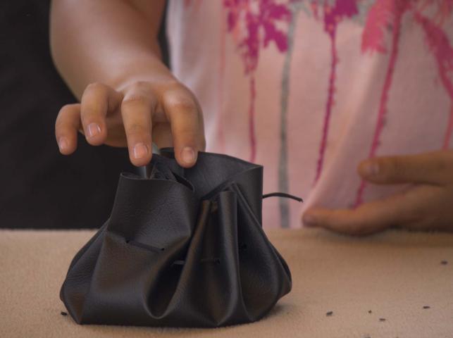 pouch